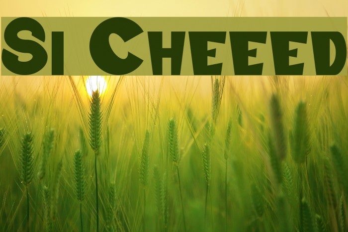 Swiss Cheesed Font examples