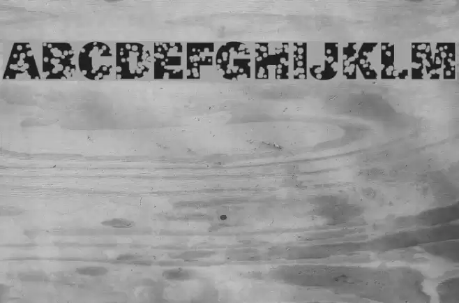 SwissCheese Fuentes examples