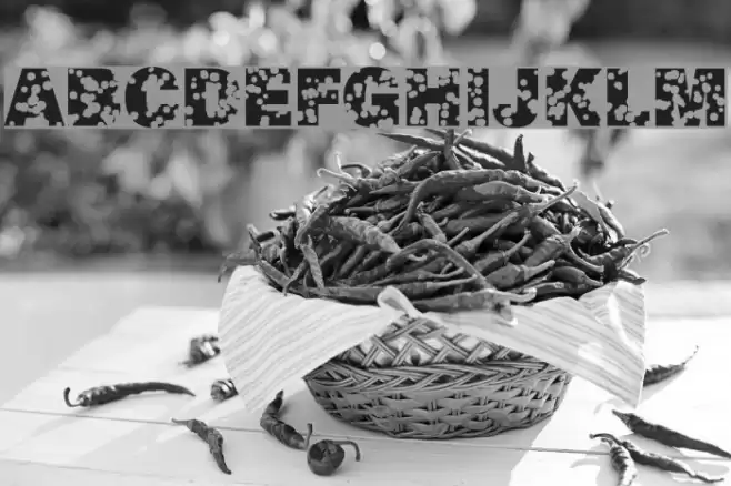 SwissCheese Fuentes examples