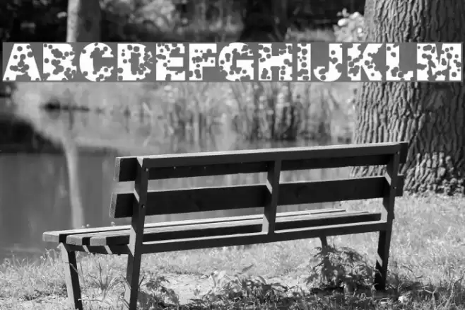 SwissCheese Fuentes examples