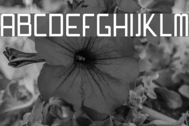 Swissmade Font examples