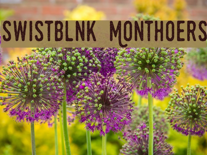 Swistblnk Monthoers Font