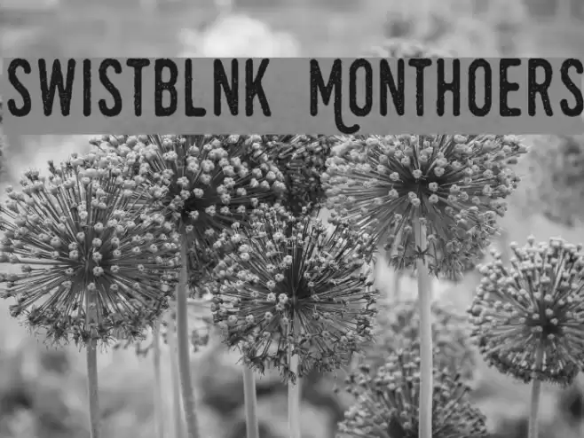 Swistblnk Monthoers Font examples