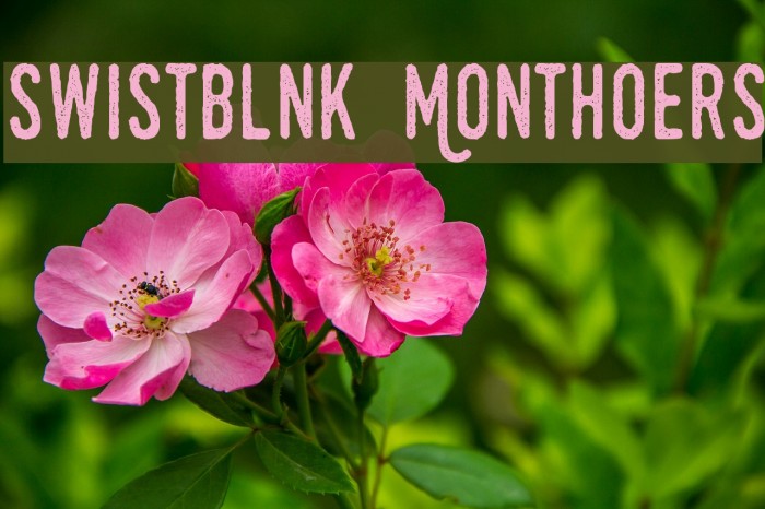 Swistblnk Monthoers Example 3