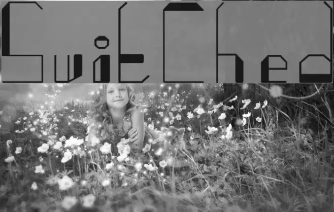 SwitChed Font examples