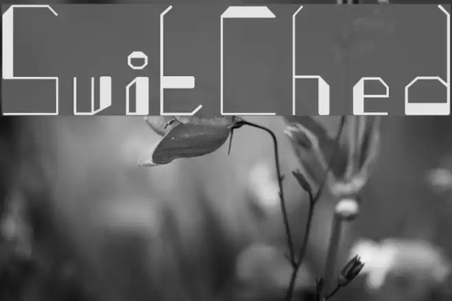 SwitChed Font examples
