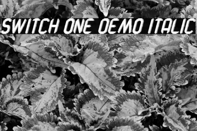 Switch One Demo Italic Font examples