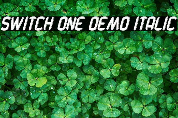 Switch One Demo Italic Example 2