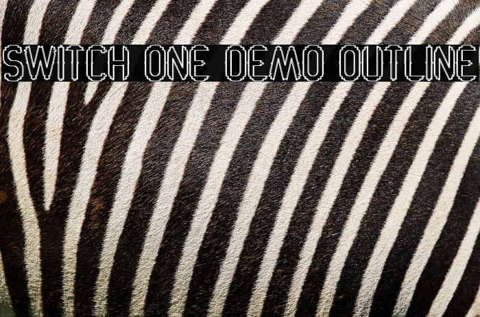 Switch One Demo Outline Example 2
