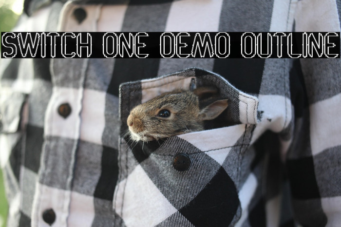 Switch One Demo Outline Example 3