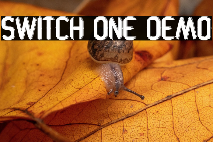 Switch One Demo Example 3