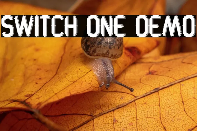 Switch One Demo Example 3