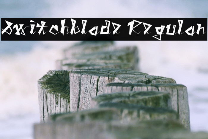 Switchblade Regular Example 2