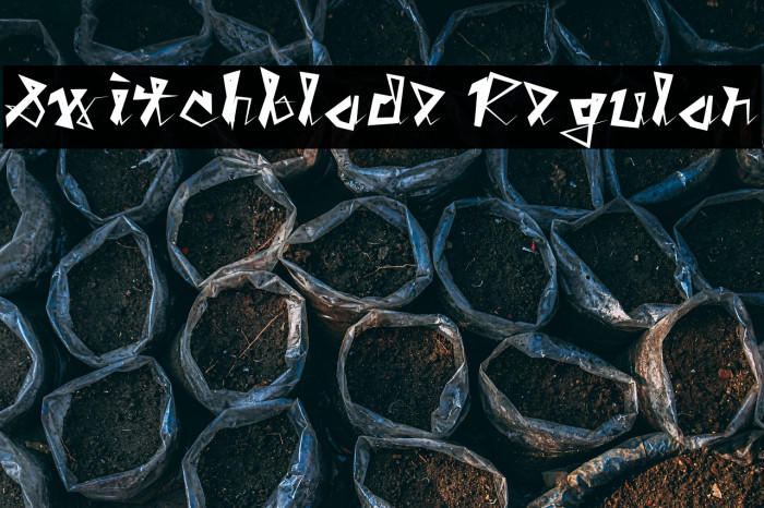 Switchblade Regular Example 3