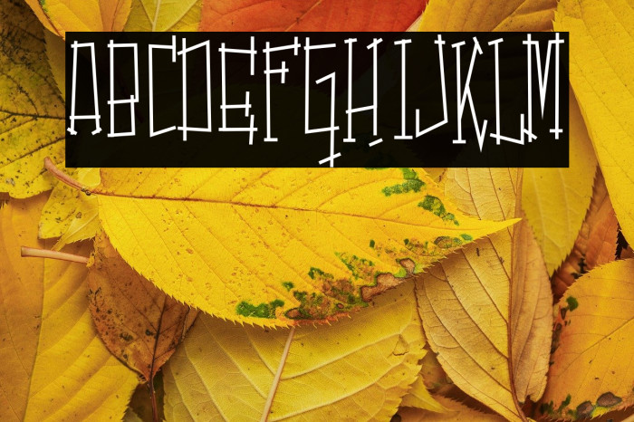 SwitchingandEffects-Regular Example 2