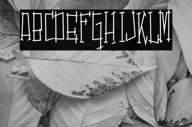 SwitchingandEffects-Regular Font examples