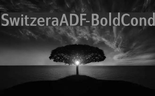 SwitzeraADF-BoldCond Font examples