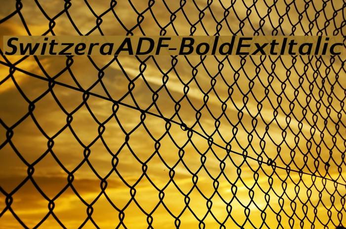 SwitzeraADF-BoldExtItalic Font examples