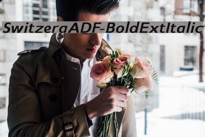 SwitzeraADF-BoldExtItalic Font examples