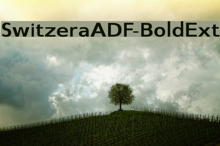 SwitzeraADF-BoldExt Font examples
