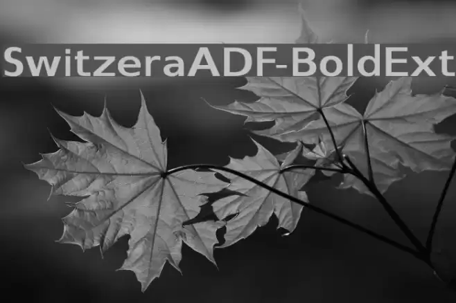 SwitzeraADF-BoldExt Font examples