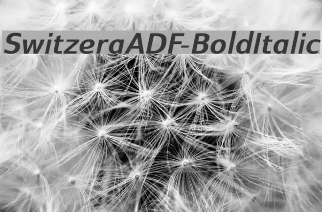 SwitzeraADF-BoldItalic Font examples