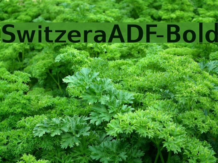 SwitzeraADF-Bold Font examples