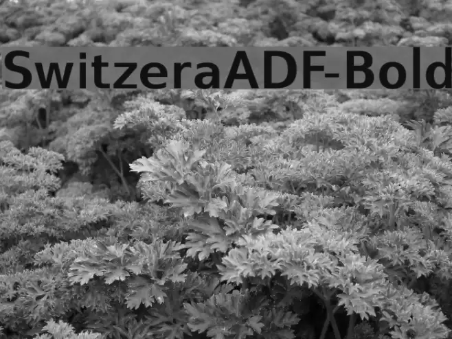 SwitzeraADF-Bold Font examples
