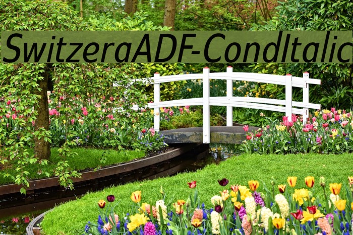 SwitzeraADF-CondItalic Font examples