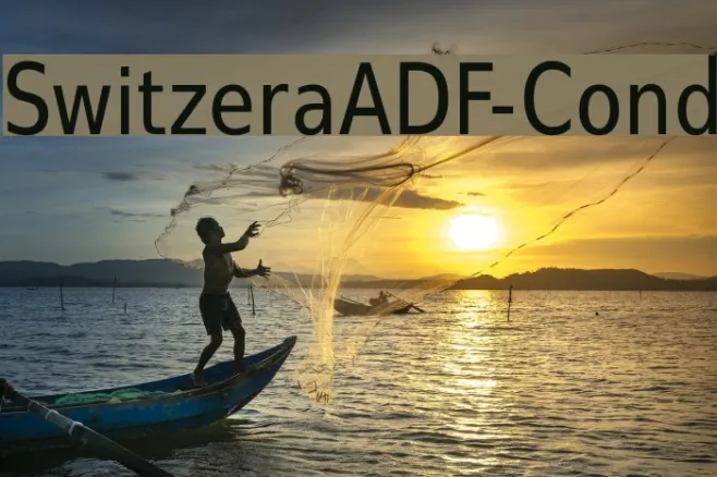 SwitzeraADF-Cond Example 2