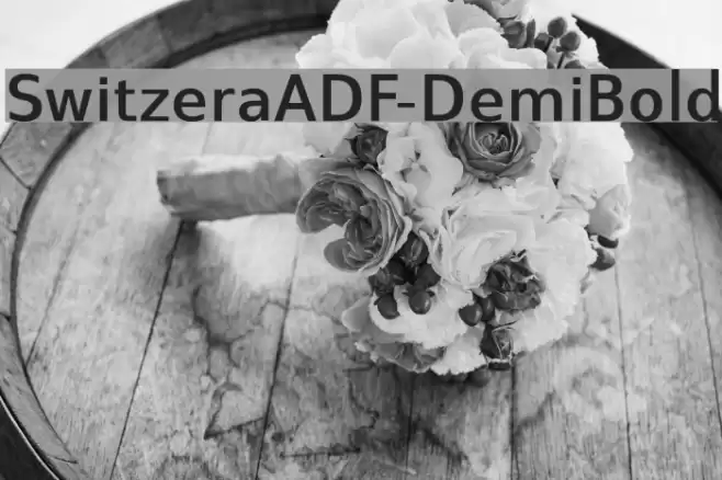 SwitzeraADF-DemiBold Fuentes examples