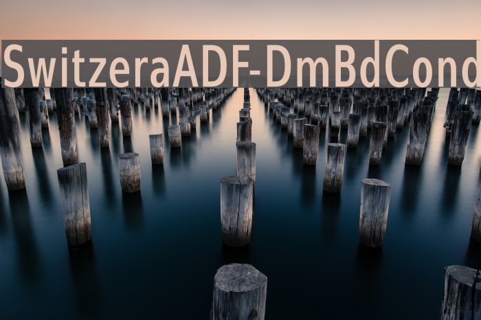 SwitzeraADF-DmBdCond Font examples