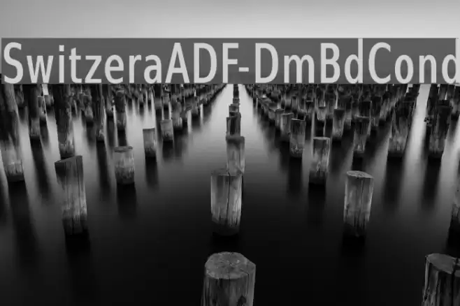 SwitzeraADF-DmBdCond Schriftart examples