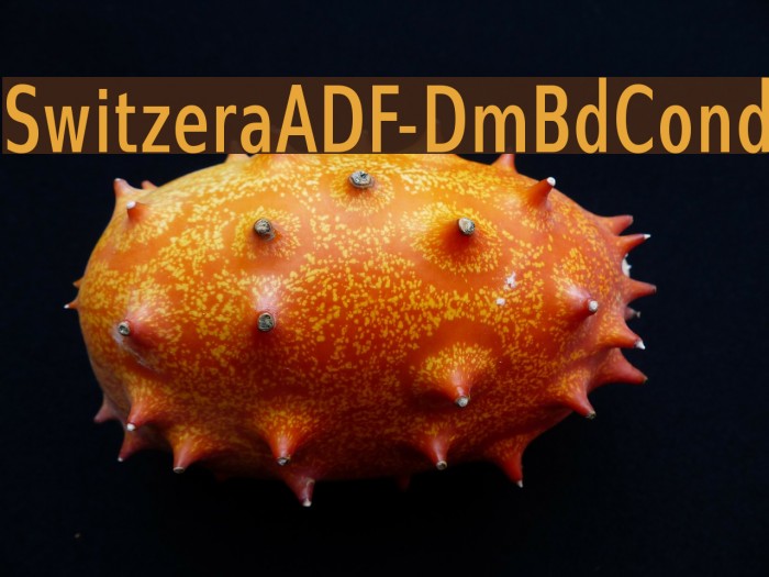 SwitzeraADF-DmBdCond Font examples