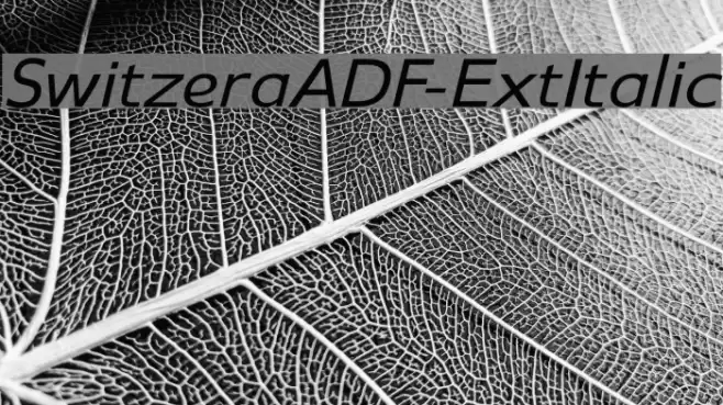 SwitzeraADF-ExtItalic خط examples