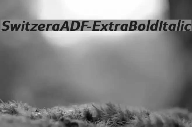 SwitzeraADF-ExtraBoldItalic Font examples