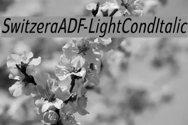 SwitzeraADF-LightCondItalic Font examples