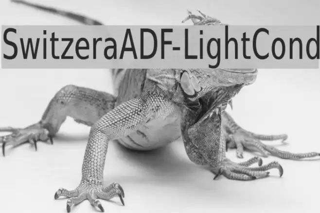 SwitzeraADF-LightCond Font examples
