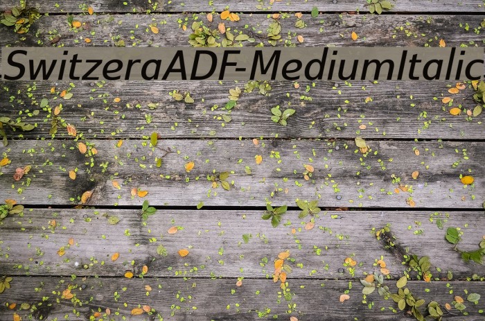 SwitzeraADF-MediumItalic Font examples