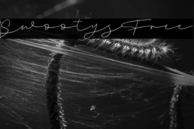 Swootys Free Font examples