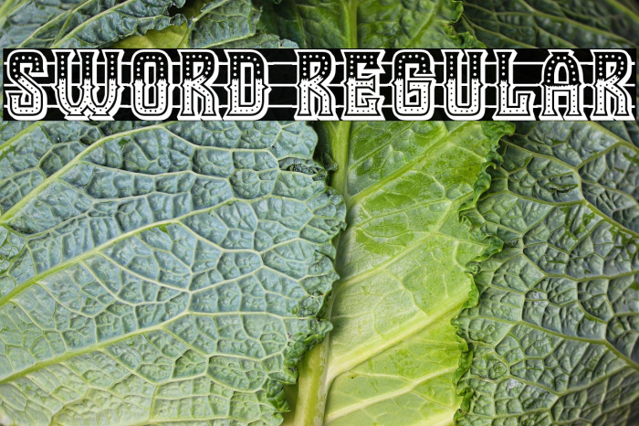 Sword Regular Example 2