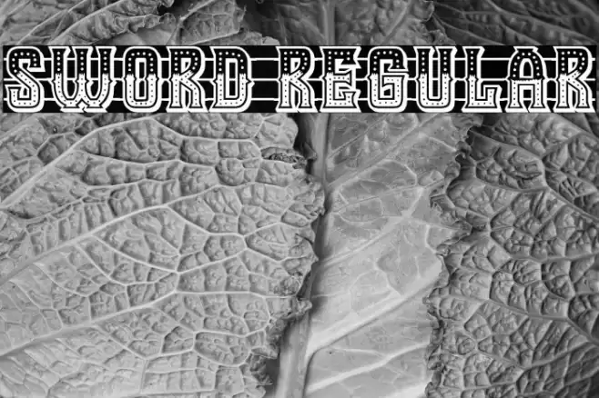 Sword Regular Caratteri examples
