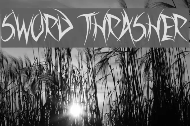 Sword Thrasher Font examples