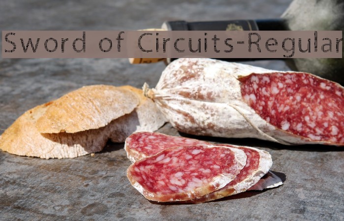 Sword of Circuits-Regular Font examples