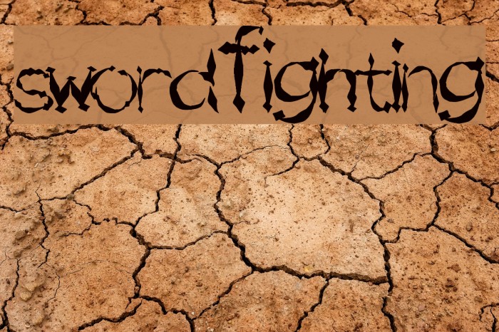 SwordFighting Example 1