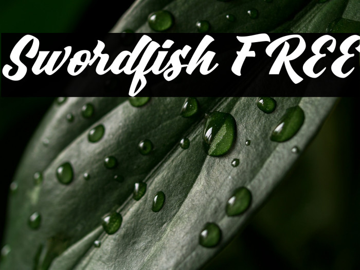 Swordfish FREE Example 3