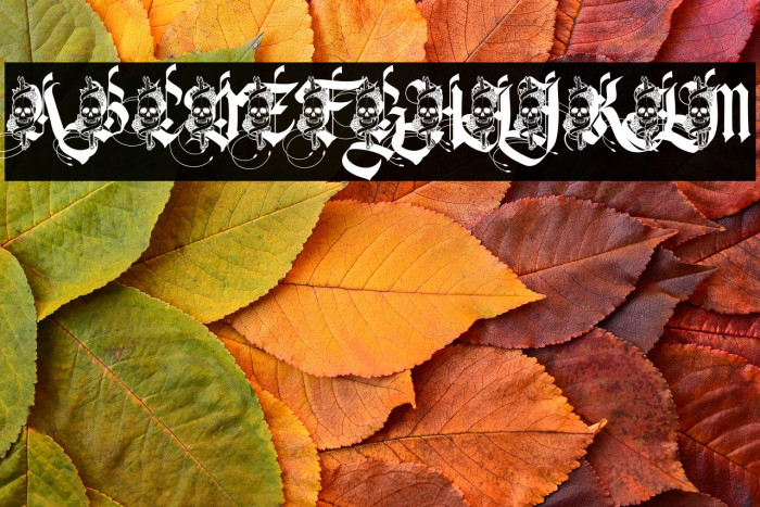 Swordskull PERSONAL USE Example 3