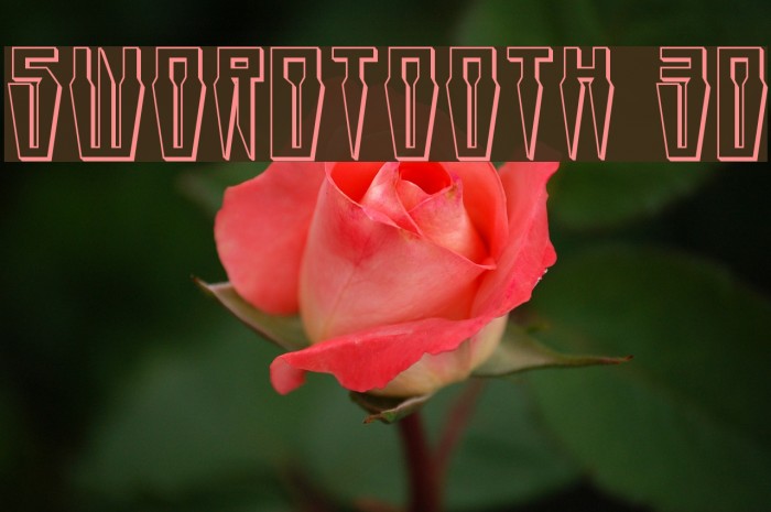 Swordtooth 3D Example 3