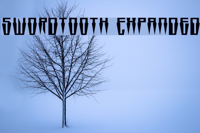 Swordtooth Expanded Font examples