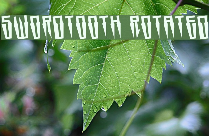 Swordtooth Rotated Font examples